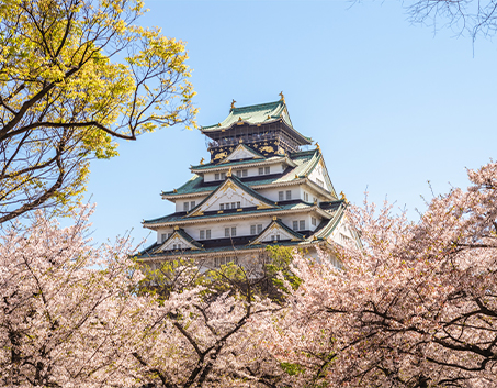Sakura Season Japan